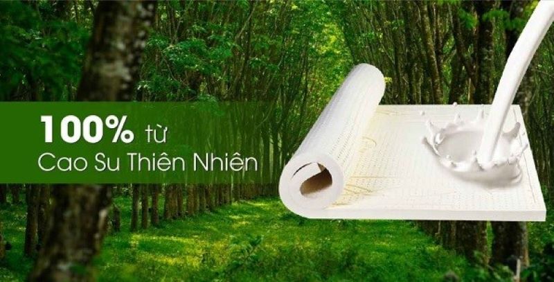 Nệm cao su thiên nhiên